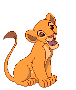 voto 5 numero voti 0